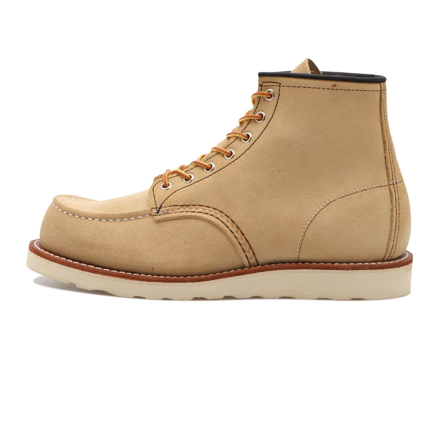 アイリッシュセッター　6モックトゥー