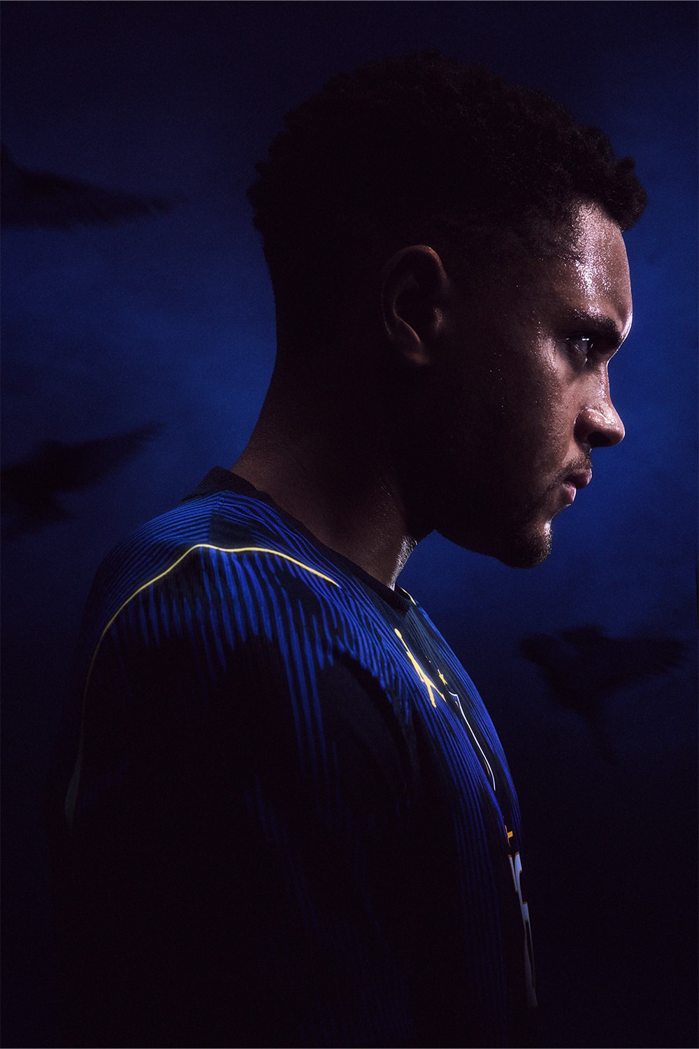 JOGA SINISTRO 闇から目覚めた王者の本能。